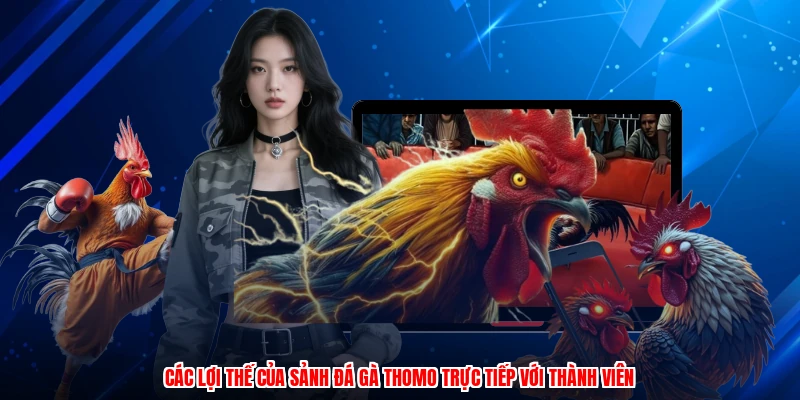 Các lợi thế của sảnh đá gà thomo trực tiếp với thành viên