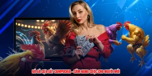 Đá Gà Cựa Sắt Campuchia - Cẩm Nang Cược Cho Người Mới