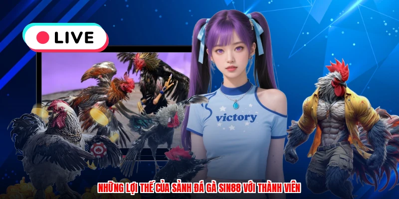 Những lợi thế của sảnh đá gà SIN88 với thành viên