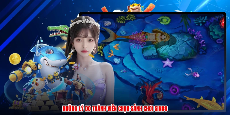 Những lý do thành viên chọn sảnh chơi SIN88