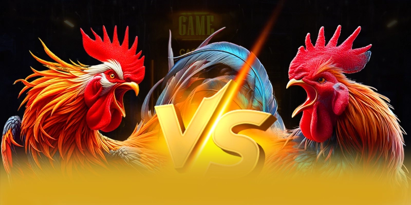 Trải nghiệm mọi lúc mọi nơi cùng 8XBET